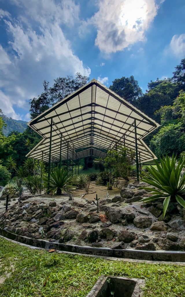 ogród botaniczny penang, malezja 