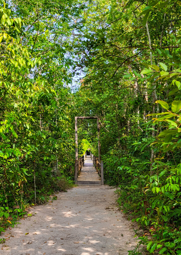 Kambodża, Siem Reap, Kulen Elephant Forest