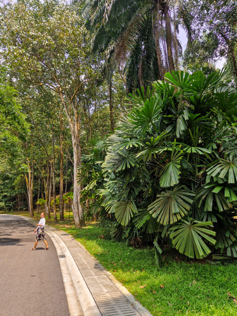 park kuala lumpur, malezja