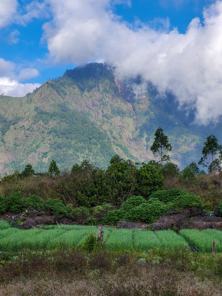 kintamani, bali