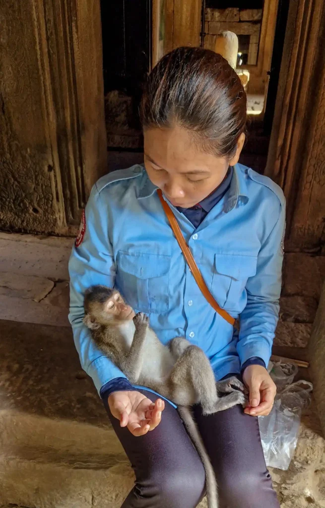 animals in asia