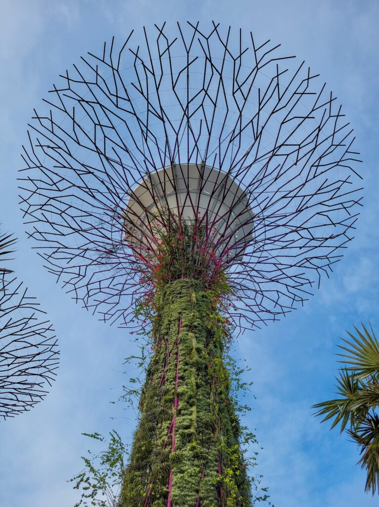 singapur gardens by the bay