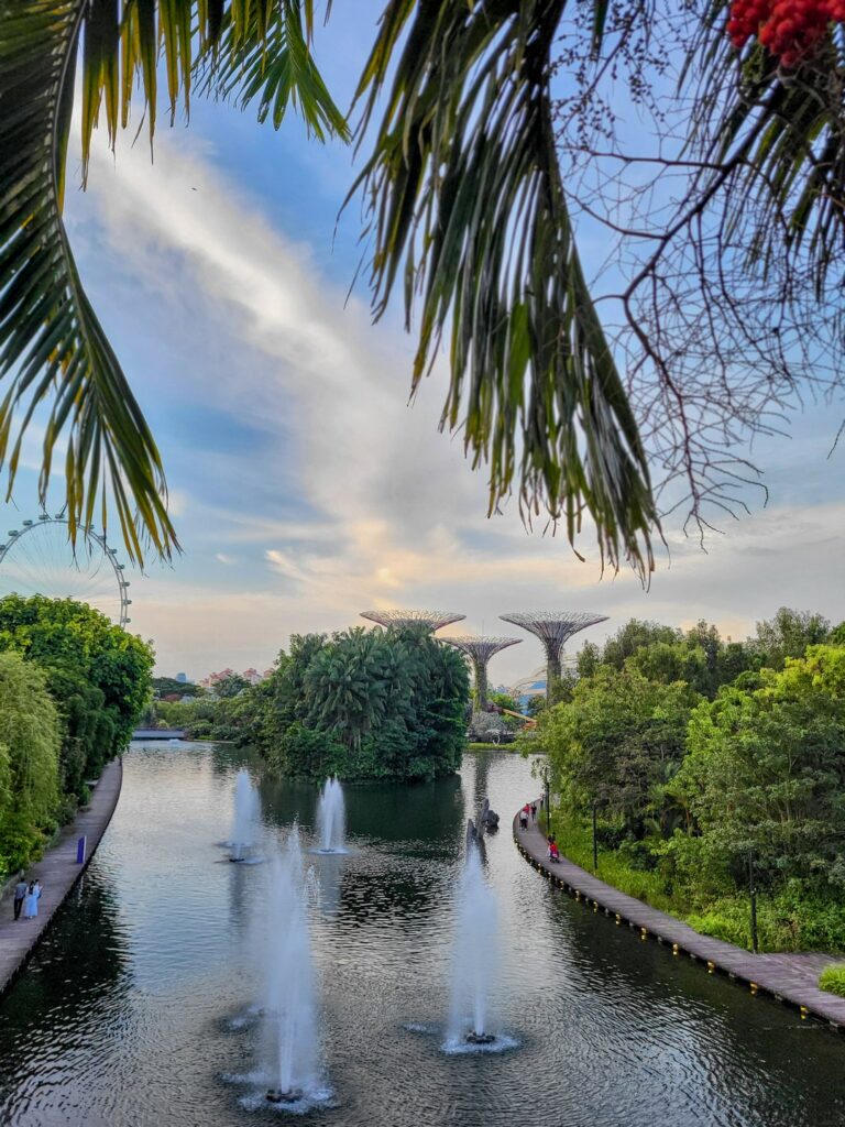 gardens by the bay 