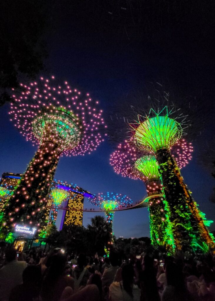 singapur nocą gardens by the bay porady