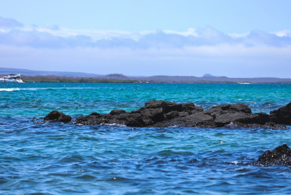 galapagos które wyspy 