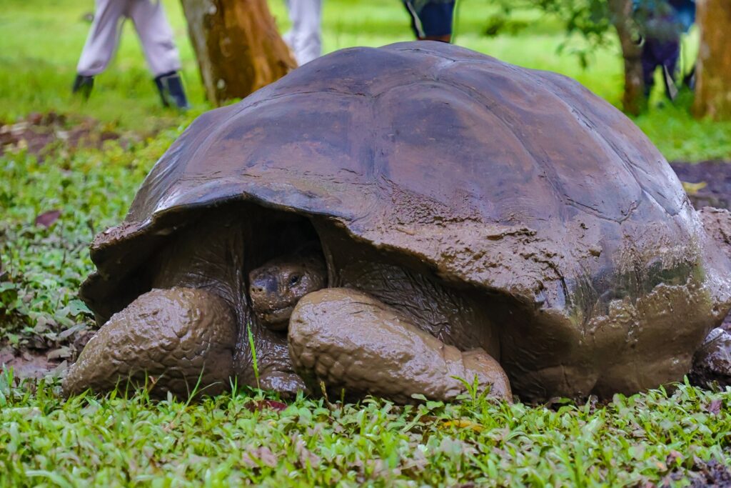 wyspy galapagos