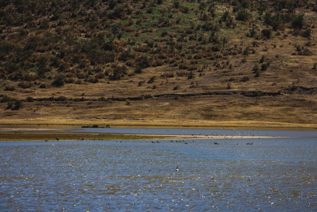 laguna przy wulkanie cotopaxi ekwador