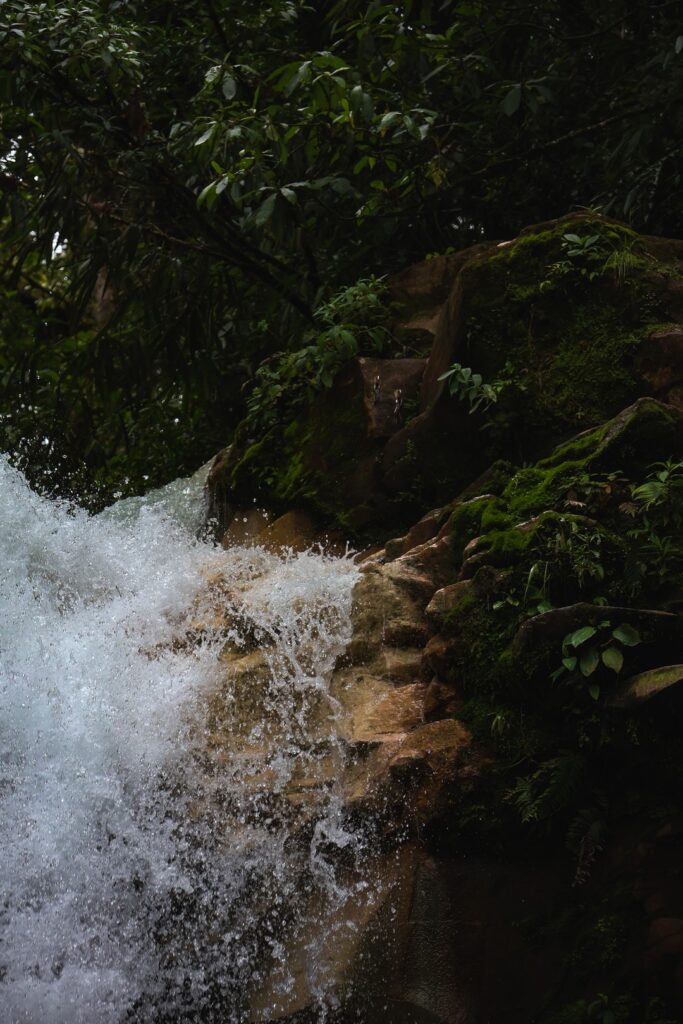 fragment wodospadu blue falls w kostaryce z intensywną zielenią wokół