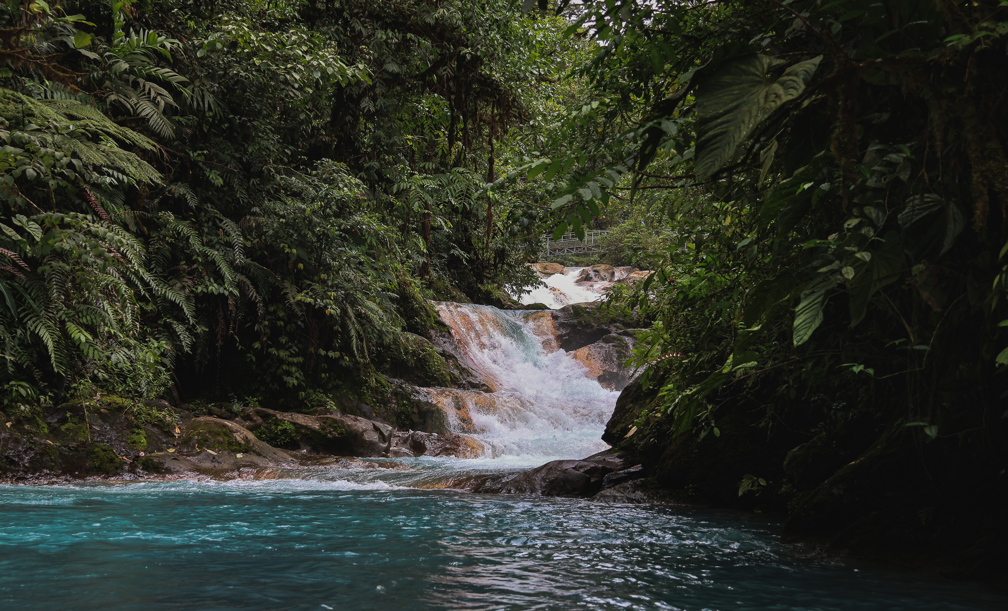 Jeden z wodospadów Blue Falls w Kostaryce na tle intensywnej ciemnej zieleni lasów.